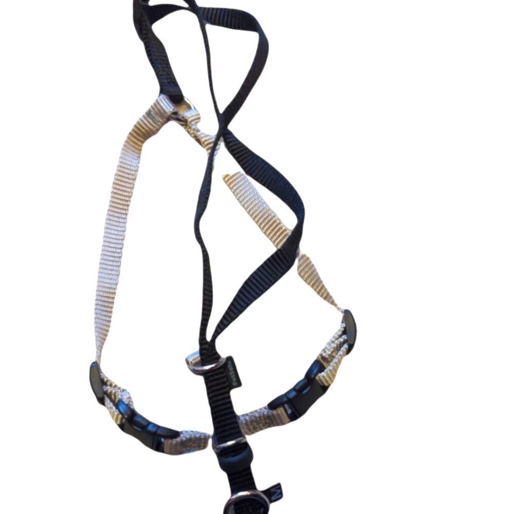 Cat harness